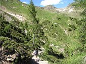 60 Il sentiero 215 che sale al Passo di Mezzeno-Laghi Gemelli